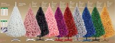 the different types of christmas trees are shown in this chart, with prices for each tree