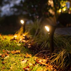 some lights that are in the grass by some bushes and trees with leaves on them