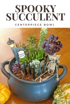 a bowl filled with succulents on top of a wooden table