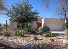 a desert home with cactus and cacti in the front yard, surrounded by rocks