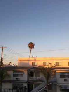 an apartment building with palm trees in the foreground