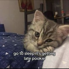 a kitten laying on top of a bed with the caption go to sleep it's getting late pookie