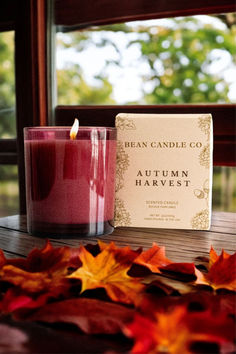 Autumn Harvest Classic Candle by Bean Candle Co Autumn Fragrance, Fall Fragrance, Classic Candles, Handcrafted Candles, Autumn Harvest, Fall Candles, Feeling Good, Luxury Candles, Fall Favorites