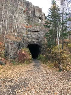 a tunnel in the side of a mountain surrounded by trees and leaves on the ground