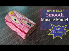 an image of a toy made out of paper and yarn with the title how to make smooth muscle model