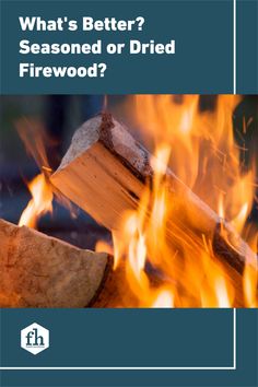 the cover of what's better? seasoned or dried firewood?, with flames