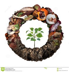 a tree grows in the center of a circle made out of different types of food