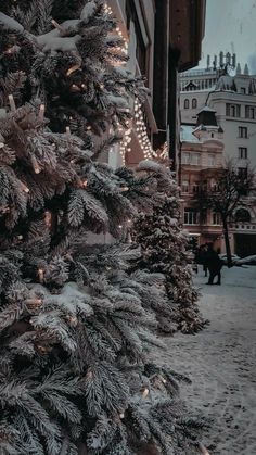 a christmas tree in front of a building with lights on it's branches and snow covering the ground