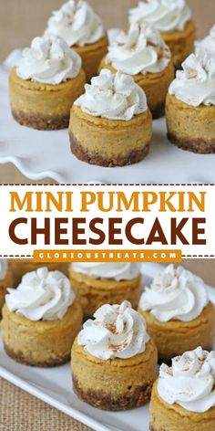 These Mini Pumpkin Cheesecake recipes are creamy, perfectly spiced, and topped with whipped cream and cinnamon! They’re a bite-sized delight perfect for Thanksgiving dessert ideas and simple pumpkin recipes!