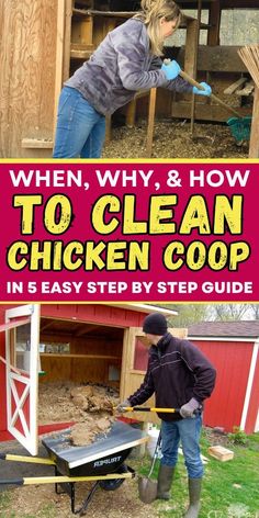 a woman is cleaning chicken coops in her backyard with the words, when, why, and how to clean chicken coop