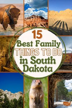 the top ten things to do in south dakota, including bisons and other wildlife