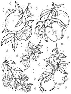 fruit coloring pages with fruits and berries on the top, one is black and white