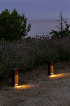 three lights that are on the side of a road near some bushes and trees at night