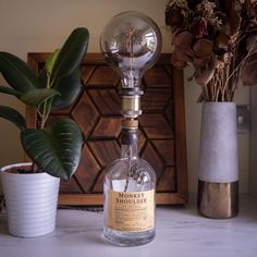 a glass bottle with a light bulb on it sitting next to a potted plant