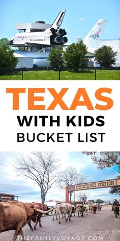 Things To Do In Texas With Kids, Things To Do In Dallas Texas With Kids, Texas Family Vacation Ideas, Austin Texas With Kids, Dallas With Kids, Bucket List Texas, Vacations In Texas, Dallas Activities