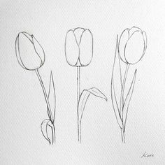 three different types of flowers are shown in this drawing