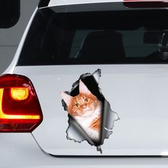 Cat Window, Vinyl Car Stickers, Pvc Vinyl, Car Decals Vinyl, Car Sticker, Cat Stickers