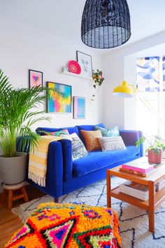 a living room with blue couches and potted plants on the wall above them