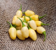 some yellow peppers are sitting on a brown cloth