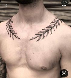 a man's chest with leaves on it