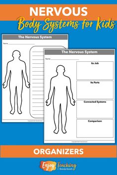 the nervous system worksheet for kids to help them learn how to use it