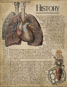 an old book with a drawing of a human heart and lungs on it's cover