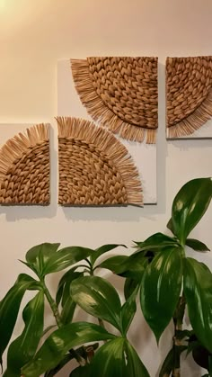 three pieces of woven art hanging on the wall next to a potted green plant