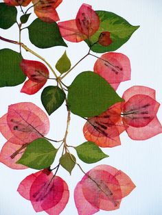 a painting of pink flowers with green leaves