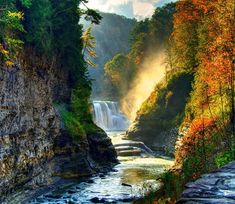 a river flowing through a lush green forest next to a tall rock wall covered in leaves