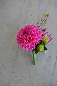 a pink flower sitting in a vase on the ground