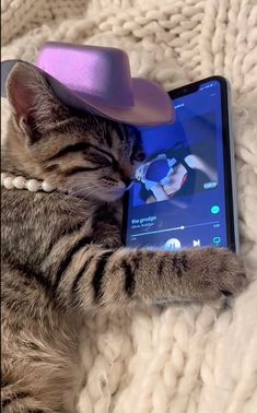 a cat laying on top of a blanket next to a cell phone with a hat on it's head