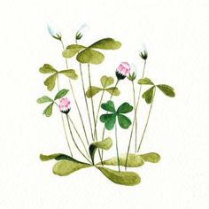 watercolor painting of pink flowers and green leaves