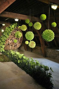 some green plants hanging from the ceiling in a room with brick walls and wooden beams