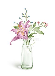 pink flowers in a glass vase on a white background royalty photo - illustration stock image