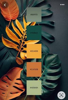 an image of some plants and leaves on a black background with the colors in different shades