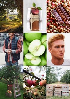 the collage shows many different types of fruit and vegetables, including an apple tree