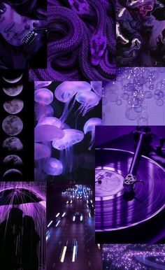 purple and black collage with various images