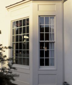 a white building with two windows and a small pine tree in front of the window