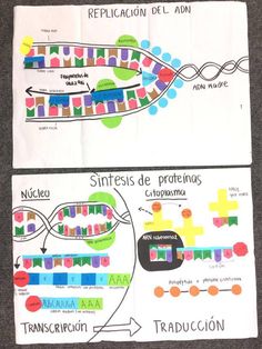 two papers that have different types of diagrams on them, one is colored and the other has