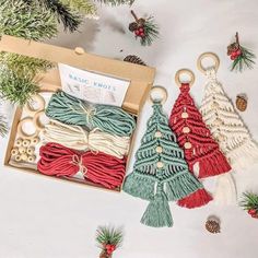 three christmas tree ornaments in a box with pine cones and other decorations around them on a white surface