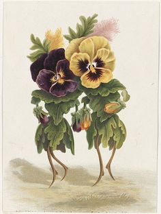 a painting of pansies with green leaves and purple flowers