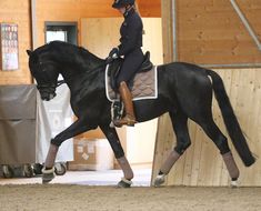 a woman riding on the back of a black horse in an indoor arena with wooden walls