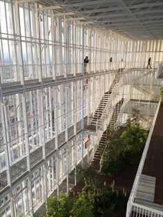 people are walking up and down the stairs in an office building with glass walls on both sides