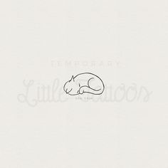 a black and white drawing of a sleeping cat with the word temporary written on it