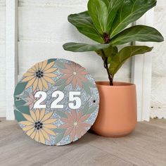 a potted plant sitting next to a wooden sign with the number twenty five on it