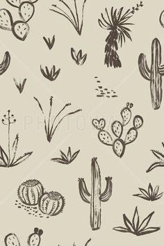 hand drawn cactus and succulent plants