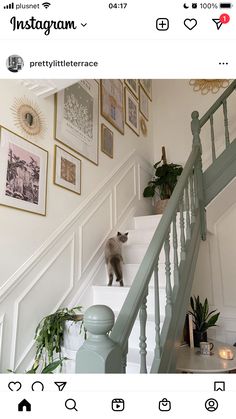 a cat is standing on the stairs next to some plants and pictures hanging on the wall