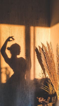 the shadow of a woman's arm on a wooden wall next to a potted plant