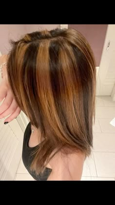 Highlights Skunk, 90s Chunky Highlights, 2000s Hair, Skunk Hair, Chunky Highlights, Brown Hair Inspo, Hair Inspiration Long, Hair Color Caramel, Layered Haircuts For Medium Hair