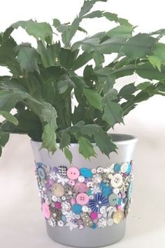 a potted plant with lots of buttons on it's sides and green leaves